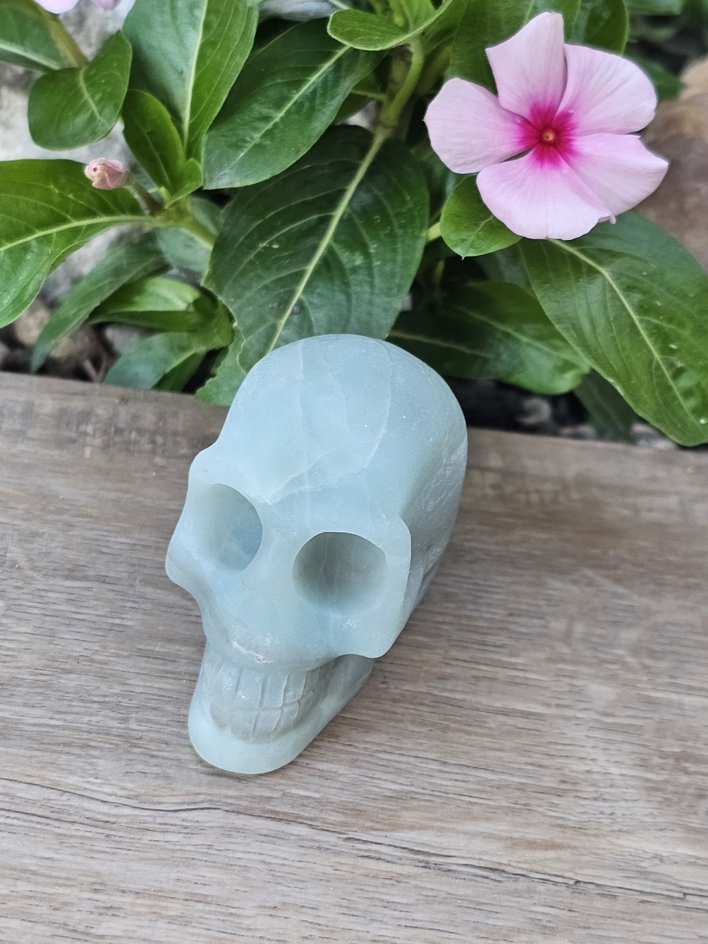 Blue Argonite Crystal Skull